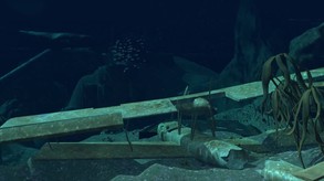 Virtual Arctic Expedition