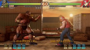 FIGHTING EX LAYER