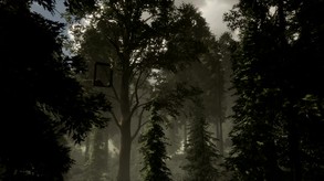 The Woods: VR Escape the Room screenshot thumbnail video