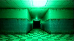 A five-day tour in the morgue promotional video