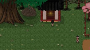 Early Access