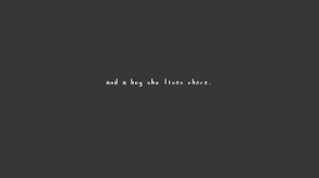 Short trailer