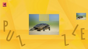 Game Of Puzzles: Animals Trailer