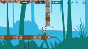The Incredible Adventures of Super Panda