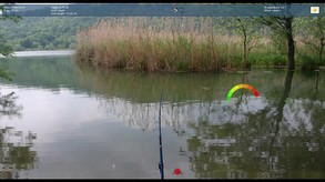 Truefish screenshot thumbnail video