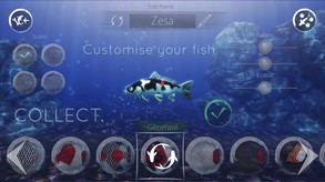My Koi-游戏截图
