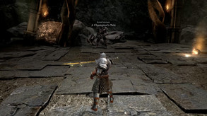 Animus Boss Fight: a Shadow of a Champion or Perhaps Morgan