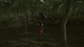 Forest Mage screenshot thumbnail video