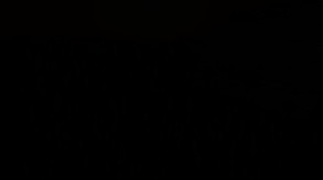 BioMech screenshot thumbnail video