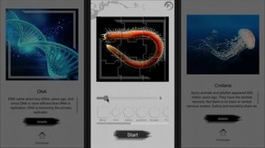 Jigsaw puzzle - Evolution En