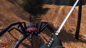 Forest spiders screenshot thumbnail video