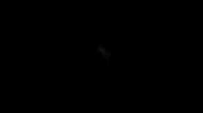 Fireflies — fireflies - teaser 2 thumbnail