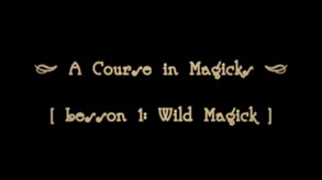 A Lesson in Wild Magic