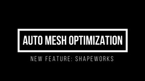 ModelOptimzier_Feature