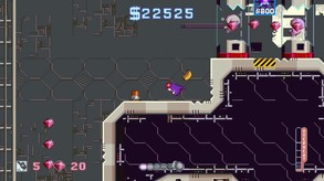 NARWHAR Project Hornwhale