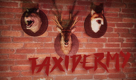TAXIDERMY screenshot thumbnail video