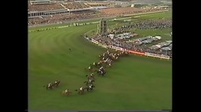 Starters Orders Classic Trailer