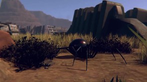 Spiders