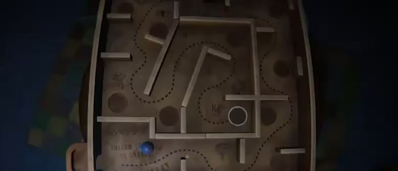 BoneField video 5