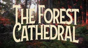 The Forest Cathedral screenshot thumbnail video