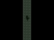 LF launch trailer