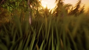 The Podlands - Pre-Alpha Gameplay