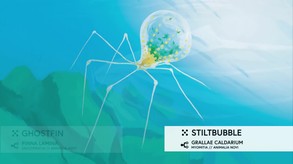 In Other Waters: A Study of Gliese 667Cc screenshot thumbnail video