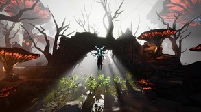 The Wizards - Dark Times: Brotherhood screenshot thumbnail video