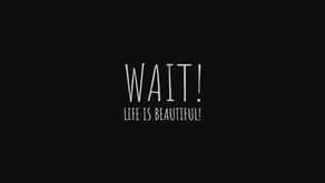 Wait! Life is beautiful! screenshot thumbnail video