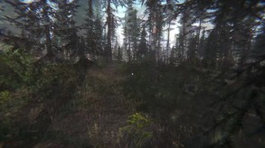 Mushroom Challenge screenshot thumbnail video