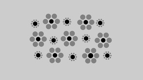 Fake Illusions screenshot thumbnail video