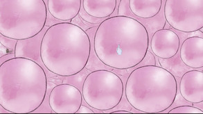 Pink Gum screenshot thumbnail video