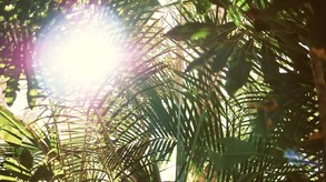 Leisure Suit Larry - Wet Dreams Dry Twice | Save the World Edition screenshot thumbnail video