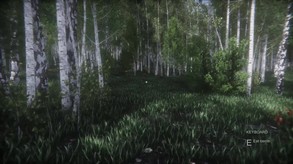 C - Berries Challenge - Commercial License screenshot thumbnail video