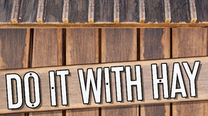 Do It With Hay screenshot thumbnail video