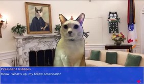 Cat President 2: Purrlitical Revolution screenshot thumbnail video