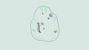 Ynglet Announcement Trailer