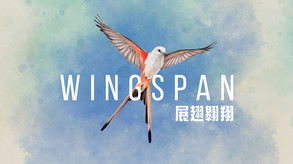 视频缩略图