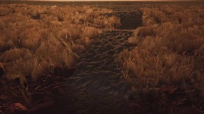 Video 3