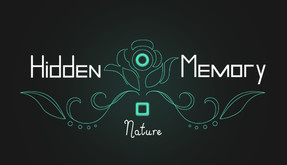 Teaser - EN