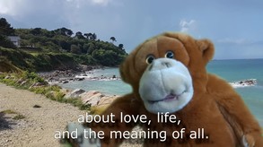 NYAF Bob the Monkey