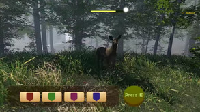 Naturalist Stories screenshot thumbnail video