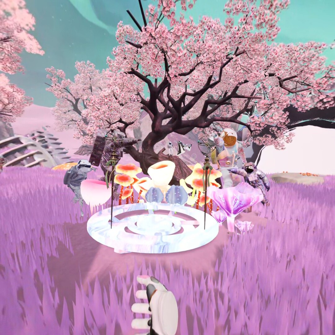 screenshot of 星际岸VR: 生命启迪计划 7