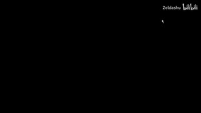 Video 2