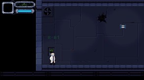 video1