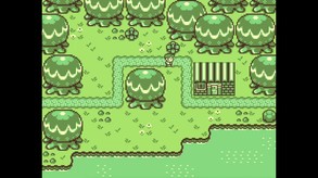 Timothy ティモシー -神秘の森- screenshot thumbnail video