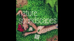 RPG Maker VX Ace - Nature Soundscapes screenshot thumbnail video