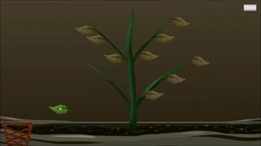 Pocket Plants: Caring