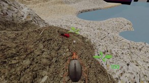 Insect: Bombardier beetle screenshot thumbnail video
