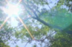 PV_Summer ~Life in the Countryside~_ JP